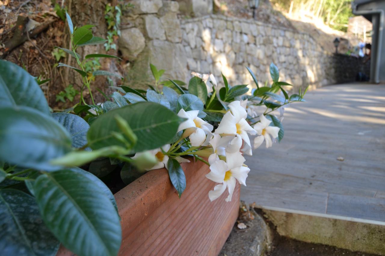 Il Casale Del Principe Lejlighedshotel Piano di Sorrento Eksteriør billede